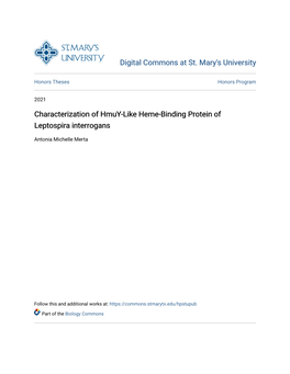 Characterization of Hmuy-Like Heme-Binding Protein of Leptospira Interrogans