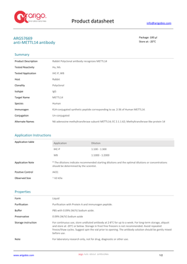 Anti-METTL14 Antibody (ARG57669)