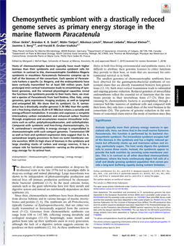 Chemosynthetic Symbiont with a Drastically Reduced Genome Serves As Primary Energy Storage in the Marine Flatworm Paracatenula