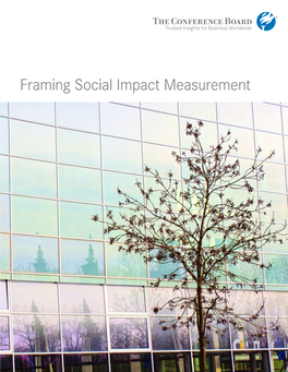 Framing Social Impact Measurement