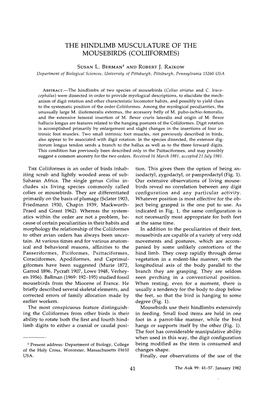 The Hindlimb Musculature of the Mousebirds (Coliiformes)