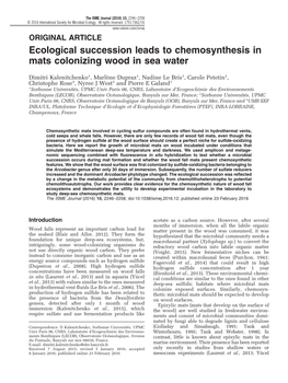 Ecological Succession Leads to Chemosynthesis in Mats Colonizing Wood in Sea Water