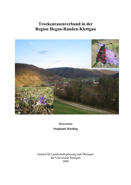 Trockenrasenverbund in Der Region Hegau-Randen-Klettgau