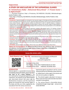 A Study on Vasculature of the Suprarenal Glands M