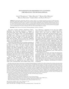 Phylogenetic Reassessment of Acianthera (Orchidaceae: Pleurothallidinae)