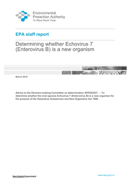 Enterovirus B) Is a New Organism