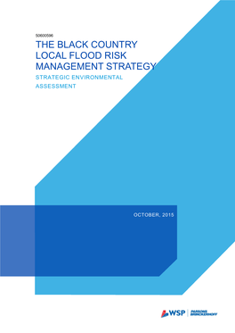 The Black Country Local Flood Risk Management Strategy Strategic Environmental Assessment