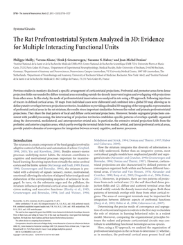 The Rat Prefrontostriatal System Analyzed in 3D: Evidence for Multiple Interacting Functional Units