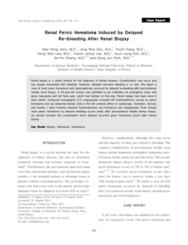 Renal Pelvic Hematoma Induced by Delayed Re-Bleeding After Renal Biopsy