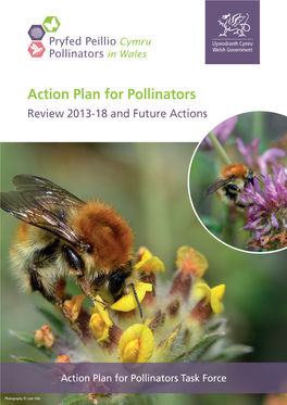 Action Plan for Pollinators Review 2013-18 and Future Actions