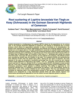 Root Suckering of Lophira Lanceolata Van Tiegh.Ex Keay (Ochnaceae) in the Guinean Savannah Highlands of Cameroon