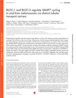 BLOC-1 and BLOC-3 Regulate VAMP7 Cycling to and from Melanosomes Via Distinct Tubular Transport Carriers