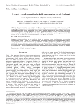 A Case of Gynandromorphism in Amblyomma Mixtum (Acari, Ixodidae)