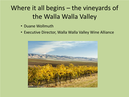 Where It All Begins – the Vineyards of the Walla Walla Valley • Duane Wollmuth • Executive Director, Walla Walla Valley Wine Alliance