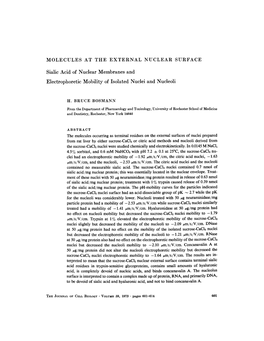 MOLECULES at the EXTERNAL NUCLEAR SURFACE Sialic Acid Of