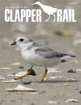 Summer 2019 Brooklyn Bird Club’S the Clapper Rail Summer 2019 Inside This Issue