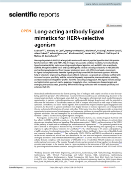 Long-Acting Antibody Ligand Mimetics for HER4-Selective Agonism