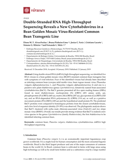 Double-Stranded RNA High-Throughput Sequencing Reveals a New Cytorhabdovirus in a Bean Golden Mosaic Virus-Resistant Common Bean Transgenic Line