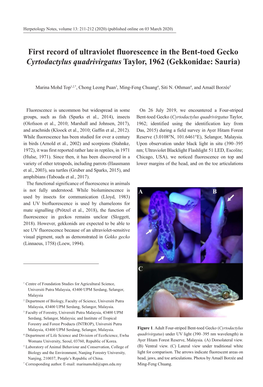 First Record of Ultraviolet Fluorescence in the Bent-Toed Gecko Cyrtodactylus Quadrivirgatus Taylor, 1962 (Gekkonidae: Sauria)