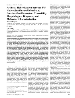 Artificial Hybridization Between U.S. Native Ruellia Caroliniensis And