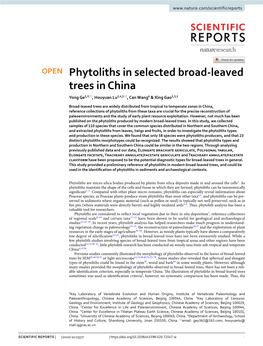 Phytoliths in Selected Broad-Leaved Trees in China