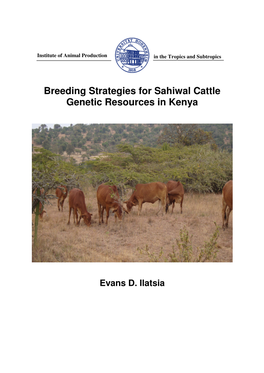 Breeding Strategies for Sahiwal Cattle Genetic Resources in Kenya