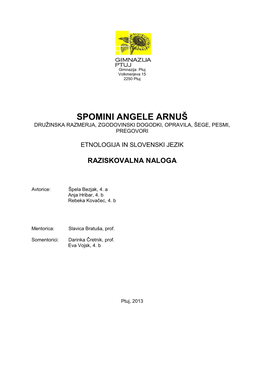 Spomini Angele Arnušdružinska Razmerja