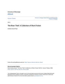 The River Thief: a Collection of Short Fiction