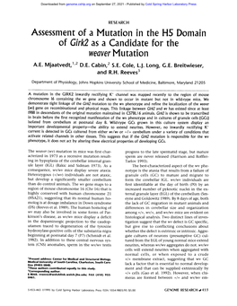 Assessment of a Mutation in the HS Domain of Girk2 As a Candidate for the Weaver M U Ta Ti O N A.E