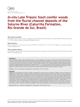 In-Situ Late Triassic Fossil Conifer Woods from the Fluvial Channel Deposits of the Soturno River (Caturrita Formation, Rio Grande Do Sul, Brazil)