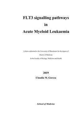 FLT3 Signalling Pathways in Acute Myeloid Leukaemia