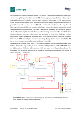 Photosynthesis Includes Two Main Processes As PSII and PSI