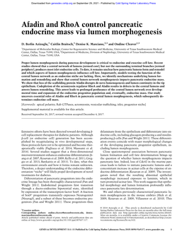 Afadin and Rhoa Control Pancreatic Endocrine Mass Via Lumen Morphogenesis