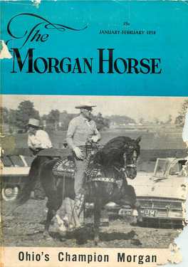 Ohio's Champion Morgan *