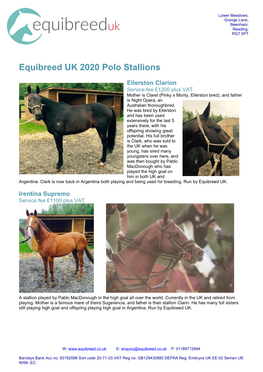 Equibreed UK 2020 Polo Stallions