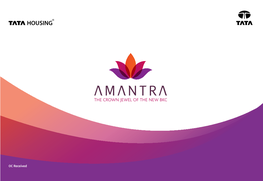 AMANTRA - Ahead of the Curve