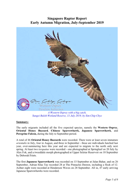 Singapore Raptor Report, Early Autumn Migration, Jul-Sep 2019