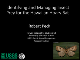 Identifying and Managing Insect Prey for the Hawaiian Hoary Bat