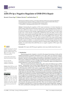 Mir-27B-3P a Negative Regulator of DSB-DNA Repair