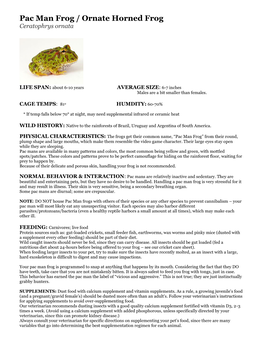 Pac Man Frog / Ornate Horned Frog Ceratophrys Ornata