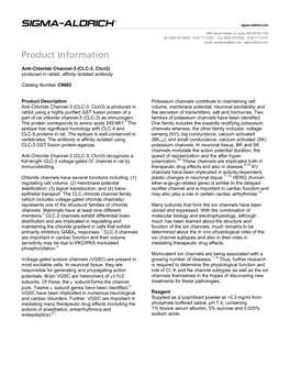 Anti-Chloride Channel-3 (CLC-3, Clcn3) (C9602)