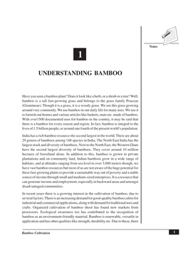 Understanding Bamboo
