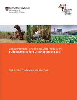 Collaborating for Change in Sugar Production: Building Blocks for Sustainability at Scale