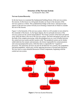 Structure of the Nervous System by Richard H