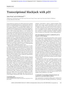 Transcriptional Blackjack with P21