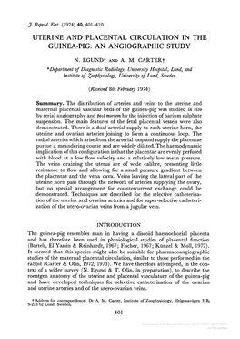 Uterine and Placental Circulation in the Guinea-Pig: an Angiographic Study