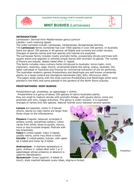 Mint Bushes (Lamiaceae) 2020