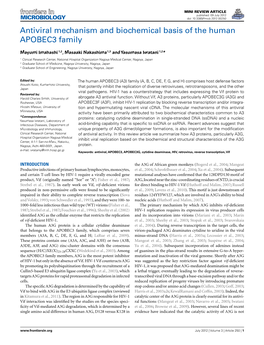 Antiviral Mechanism and Biochemical Basis of the Human APOBEC3 Family