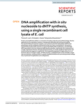 DNA Amplification with in Situ Nucleoside to Dntp Synthesis