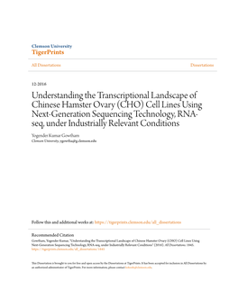 Understanding the Transcriptional Landscape of Chinese Hamster